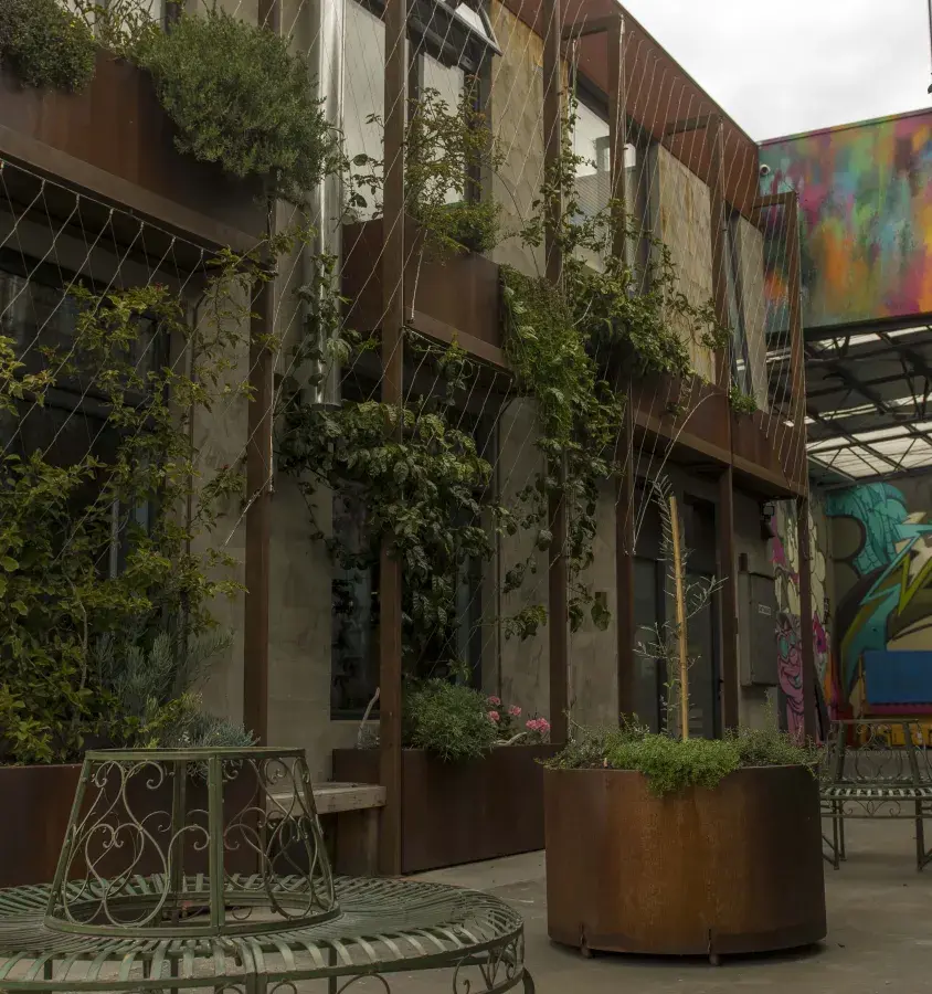 Custom wire plant trellising over laser cut corten planters